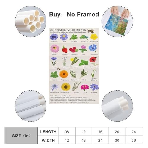 Samsung Galaxy A56 17 Cm (6.7") Dual SIM Android 15 5G USB Type-C