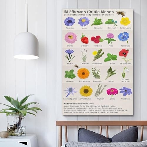 Samsung Galaxy A56 17 Cm (6.7") Dual SIM Android 15 5G USB Type-C