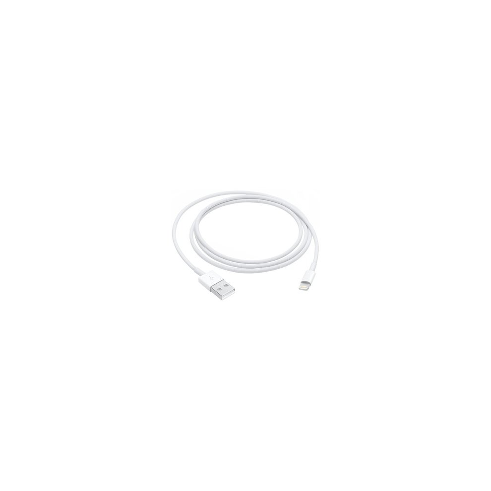 Caricabatterie Apple Lightning / USB