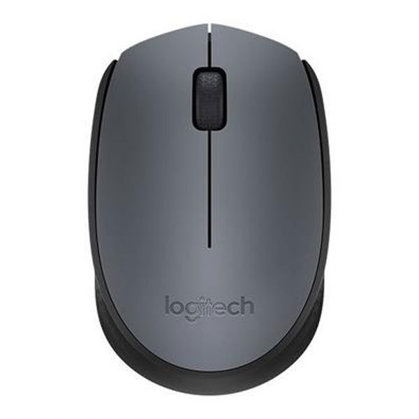 Logitech M170 mouse